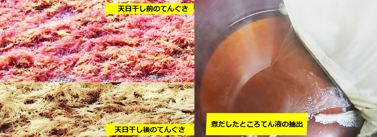 TOPメインビジュアル用　心太製法